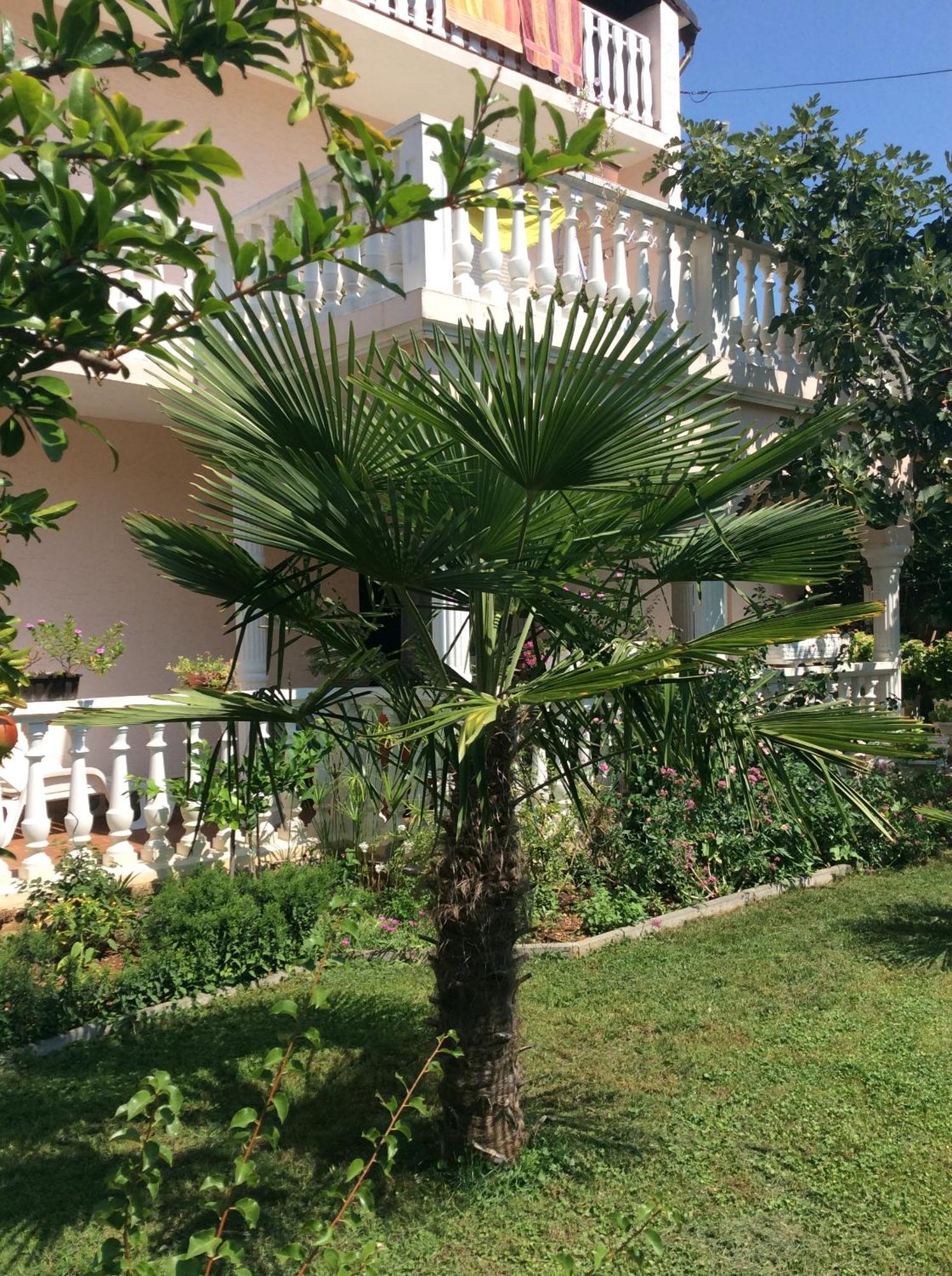 Villa Chiara Vodice Exterior foto