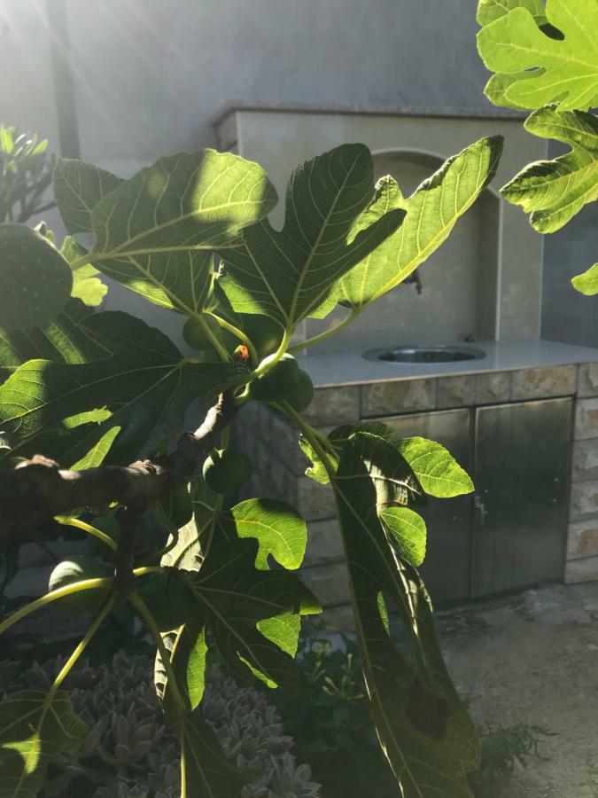 Villa Chiara Vodice Exterior foto